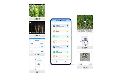 毕节市小麦表型检测仪IN-XM04